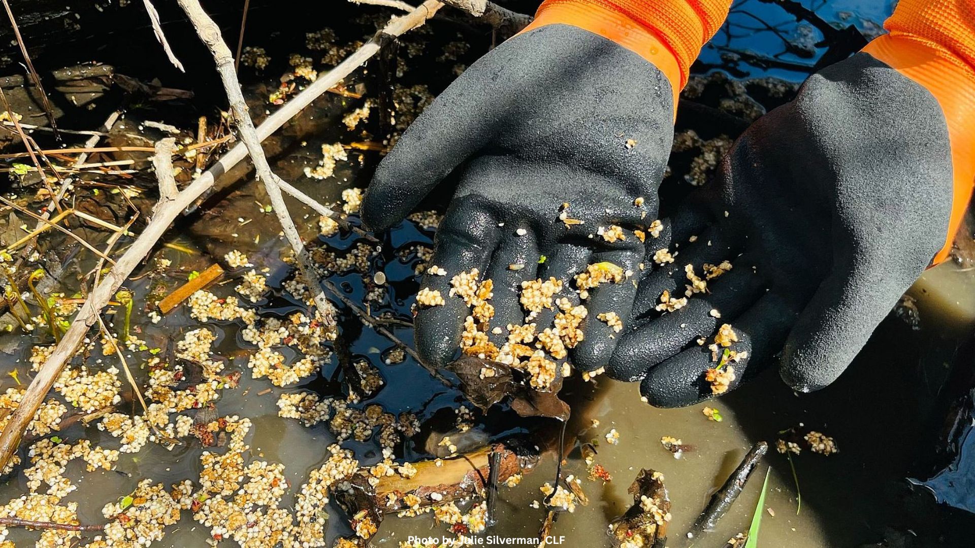 Microplastics Collection at Plattsburgh City Beach